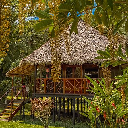 Corto Maltes Amazonia Lodge Puerto Maldonado Dış mekan fotoğraf