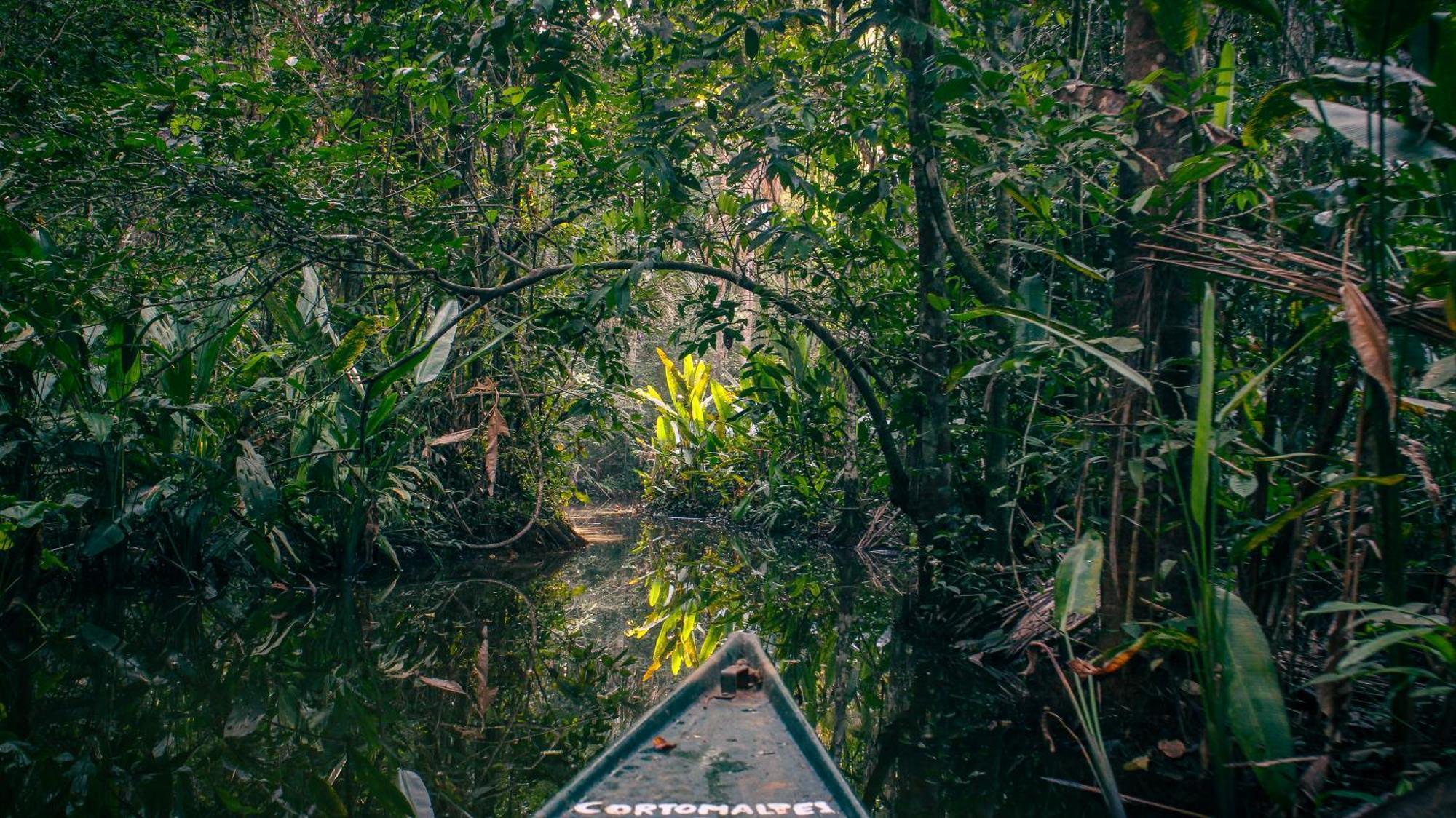 Corto Maltes Amazonia Lodge Puerto Maldonado Dış mekan fotoğraf
