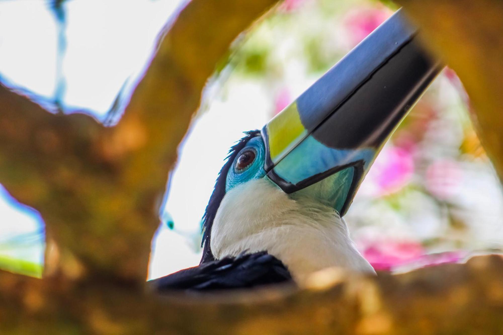Corto Maltes Amazonia Lodge Puerto Maldonado Dış mekan fotoğraf