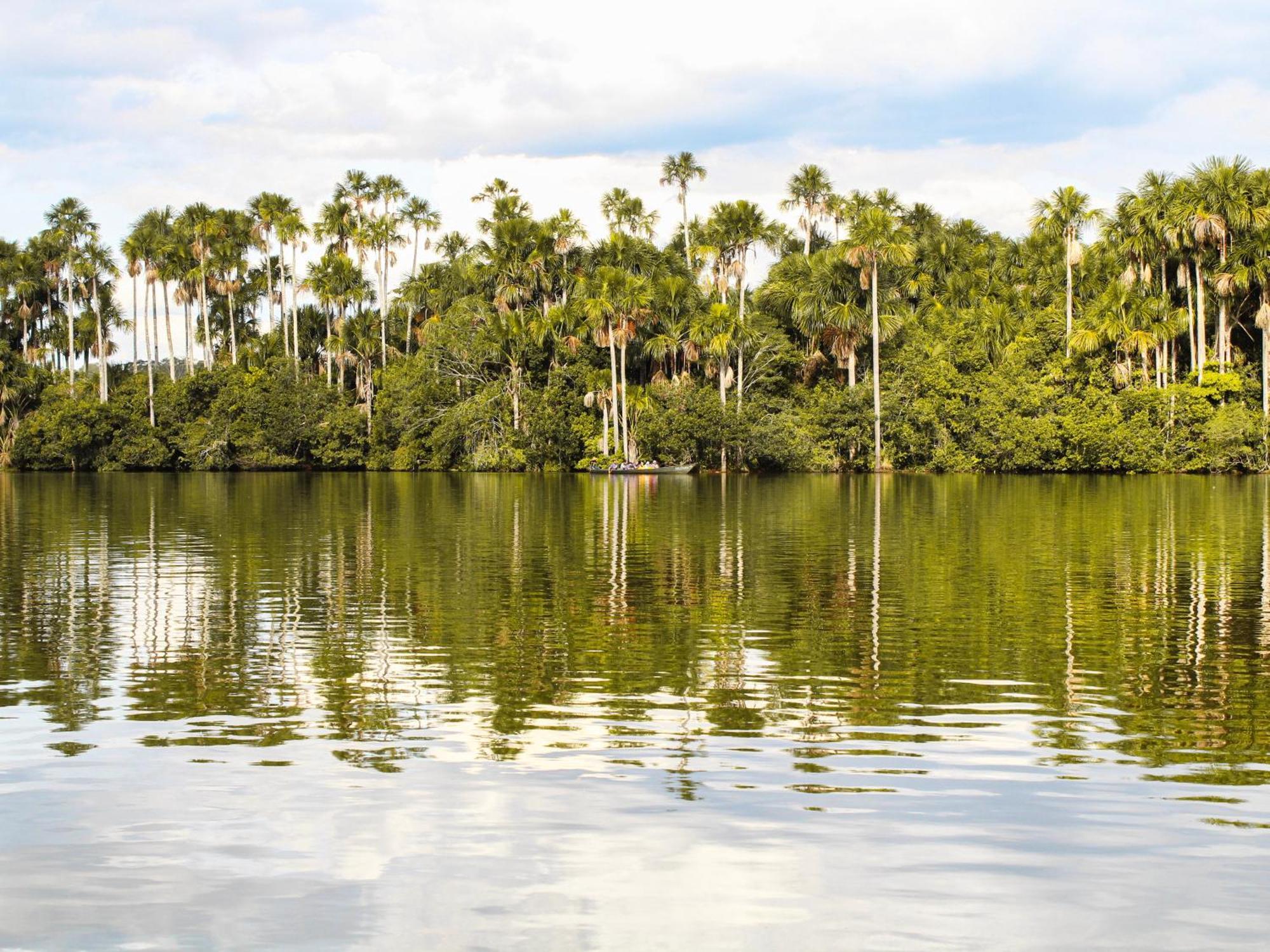 Corto Maltes Amazonia Lodge Puerto Maldonado Dış mekan fotoğraf