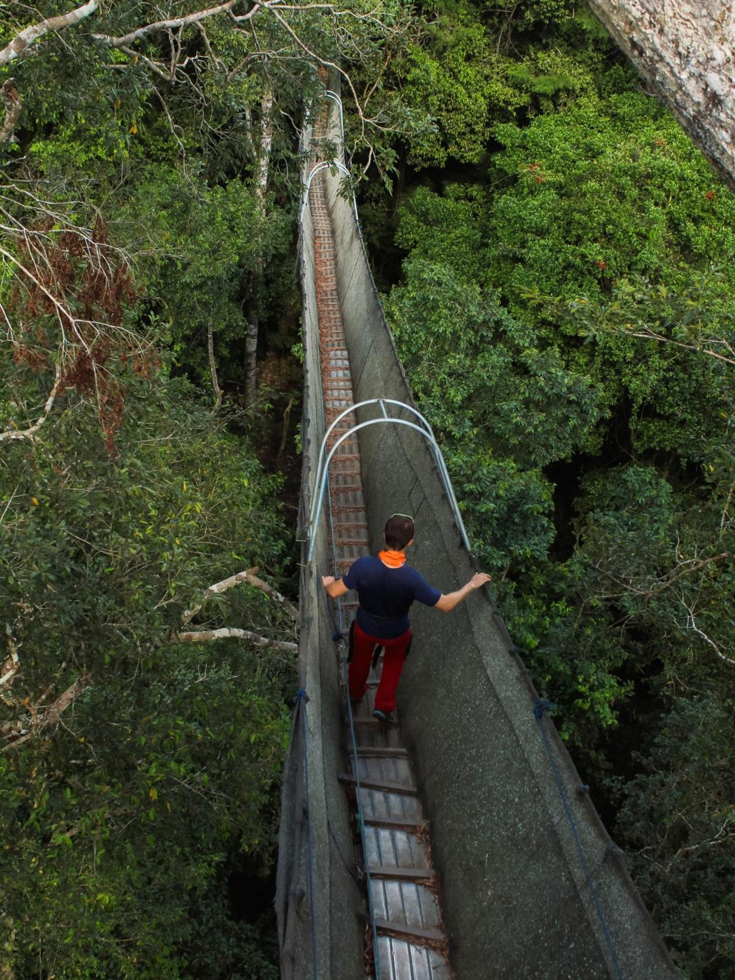 Corto Maltes Amazonia Lodge Puerto Maldonado Dış mekan fotoğraf