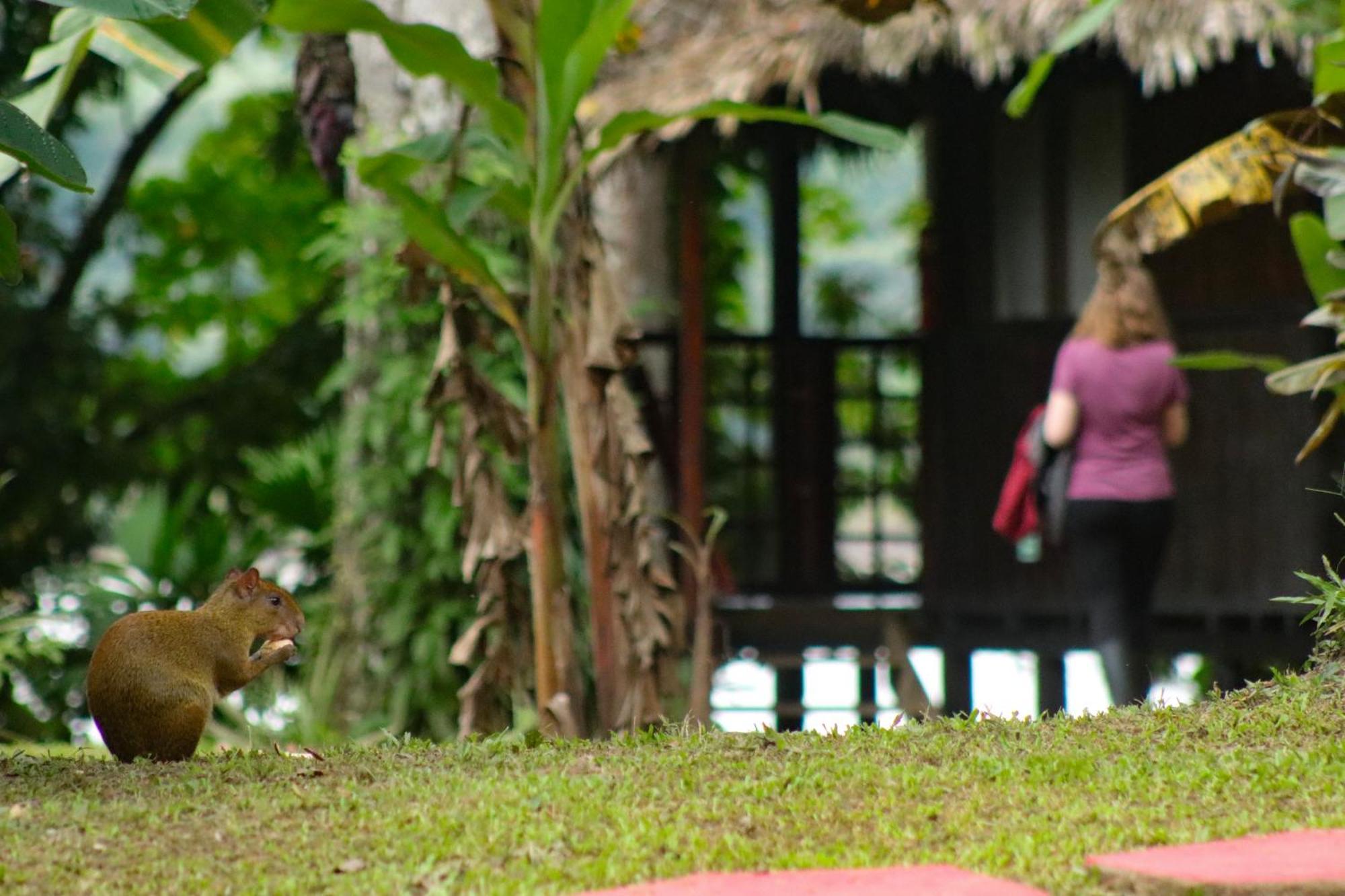 Corto Maltes Amazonia Lodge Puerto Maldonado Dış mekan fotoğraf