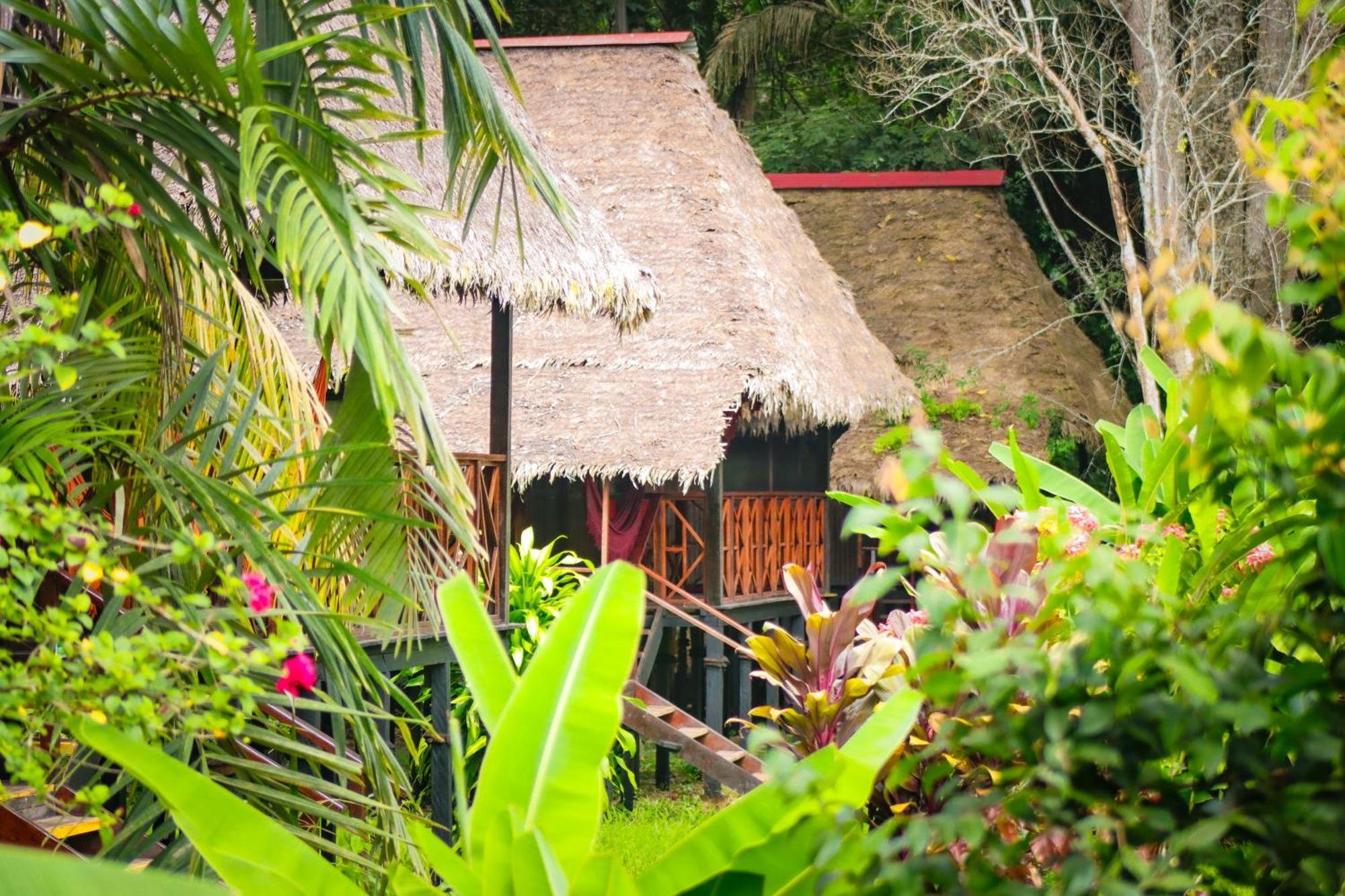 Corto Maltes Amazonia Lodge Puerto Maldonado Dış mekan fotoğraf
