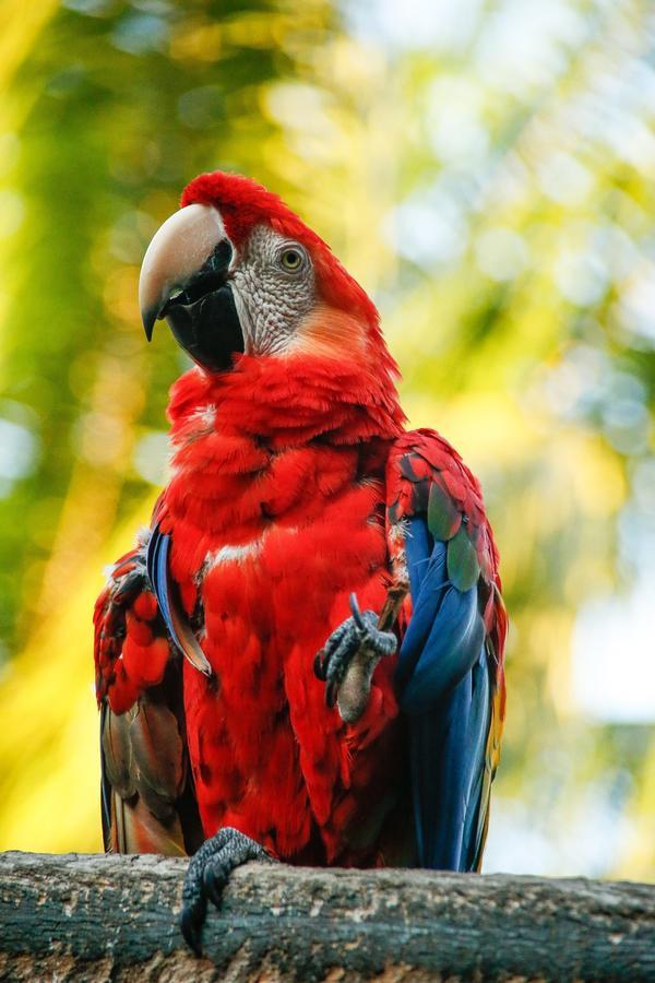 Corto Maltes Amazonia Lodge Puerto Maldonado Dış mekan fotoğraf